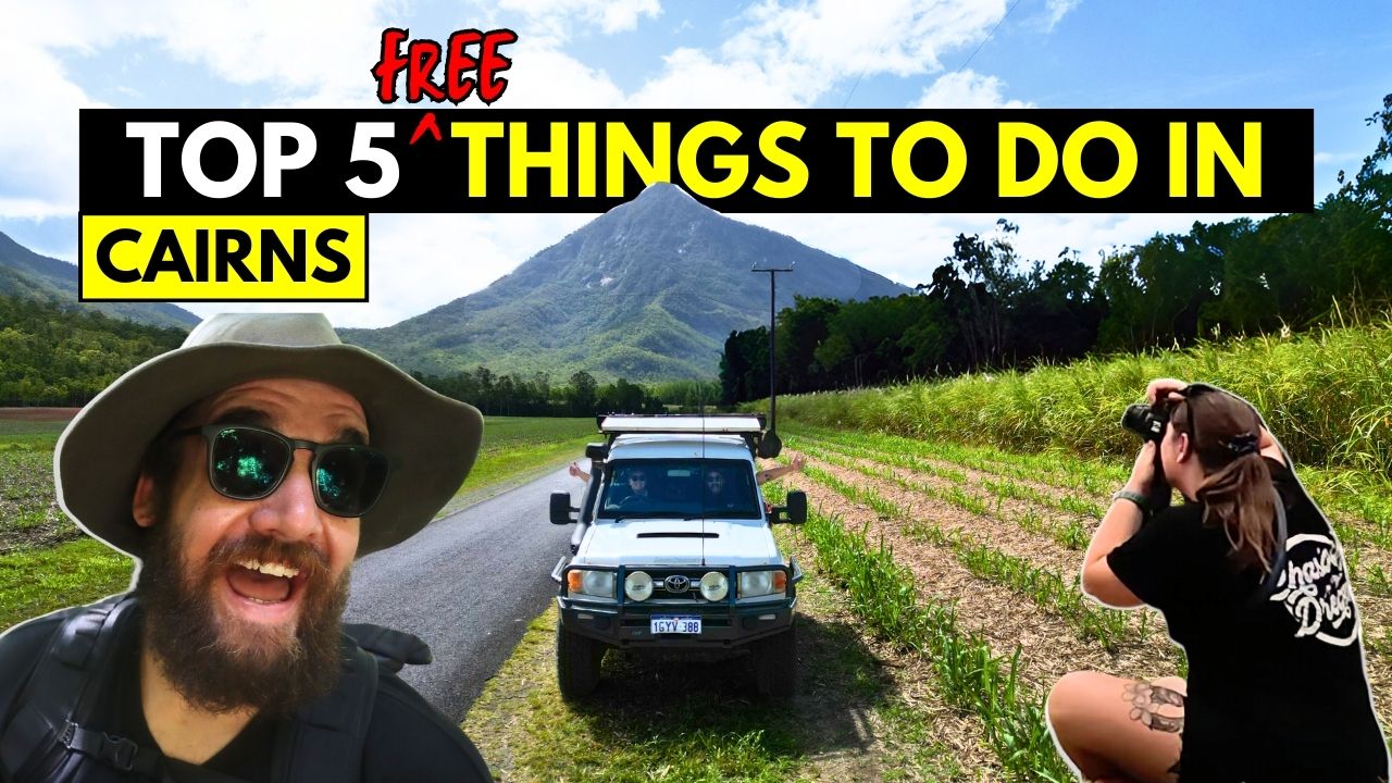 THE 5 BEST Free Things To Do In Cairns Updated 2023 Chasing Dreams the-5-best-free-things-to-do-in-cairns-updated-2023-chasing-dreams